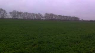 Tisa Na Zeca,Iz Vidoglasnog U Sledoglasno....