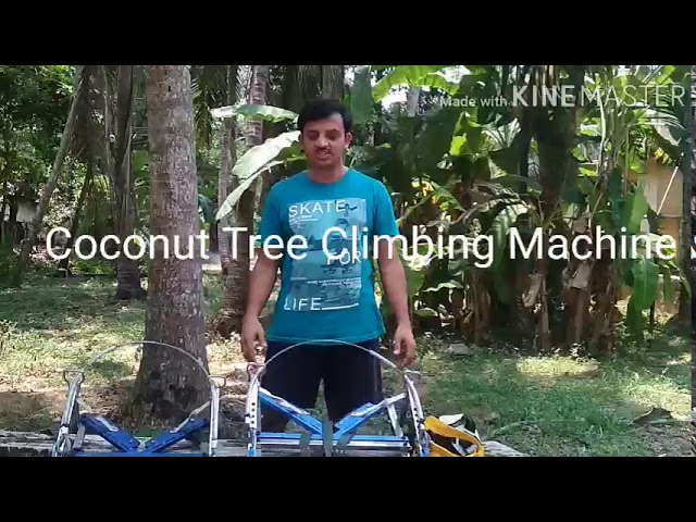 Advance Coconut Tree Climber 