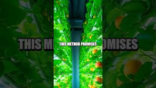 Revolutionizing Food Production with Vertical Farming