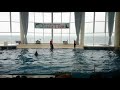 アクアワールド大洗水族館 イルカショー の動画、YouTube動画。