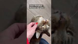 Кузя сегодня едет в семью