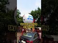 Video Image