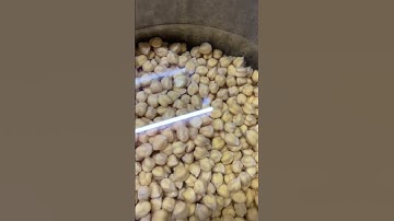 Asmr chickpea p￼uffed or burst 🤯🤯🤯
