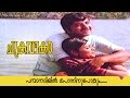 Chakravakam | Malayalam Movie Song | Pamba Nadhiyil Ponninnu Pokum..