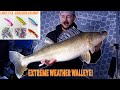Humminbird mega live i extreme cold walleye  50 ice fishing the walleye candy stick  giveaway