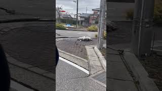 Japonya'daki Depremde Yer Yerinden Oynadı: Yollar Çatladı, Kaldırımlar Yükseldi! #shorts image