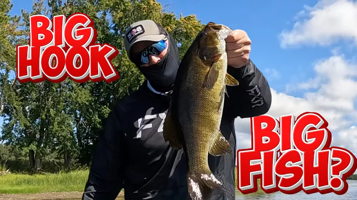 Breaking the Wacky Rig Rules: Why I Switched to a 2/0 Hook (And What Happened)