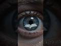 Is 2+2=4 Real? Epistemology in 60 Seconds #philosophy #shorts