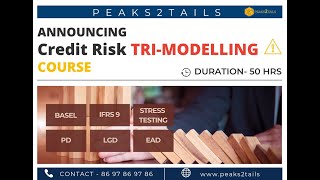 Credit Risk Modelling Course: IFRS9 - Application and Behavior Scorecards | CCAR | Peaks2Tails