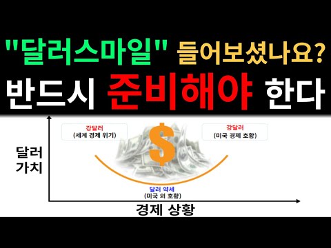 달러 스마일 이라고 들어보셨나요 환율 달러 비트코인 주식 