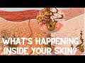 Skin BIOLOGY -The science of skin color -Melanocytes ,KERATIONOCYTES ,Vitiligo , Albinism .