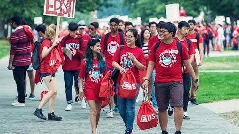 UBC Engineering: Everything You Need to Know