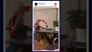 Birseyde Bu Hayattan Yolunda Gitsin Bee