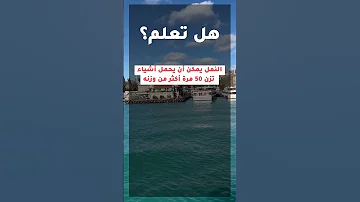 هل تعلم معلومات 