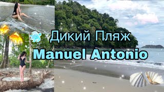 Дикий Пляж Manuel Antonio || Коста Рика! Райское место для отдыха🌴