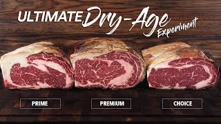 Which STEAK Grade is best to DRYAGE? | GugaFoods