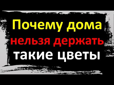 Видео: Озеленение вашего дома с помощью сексуального и интеллектуального термостата