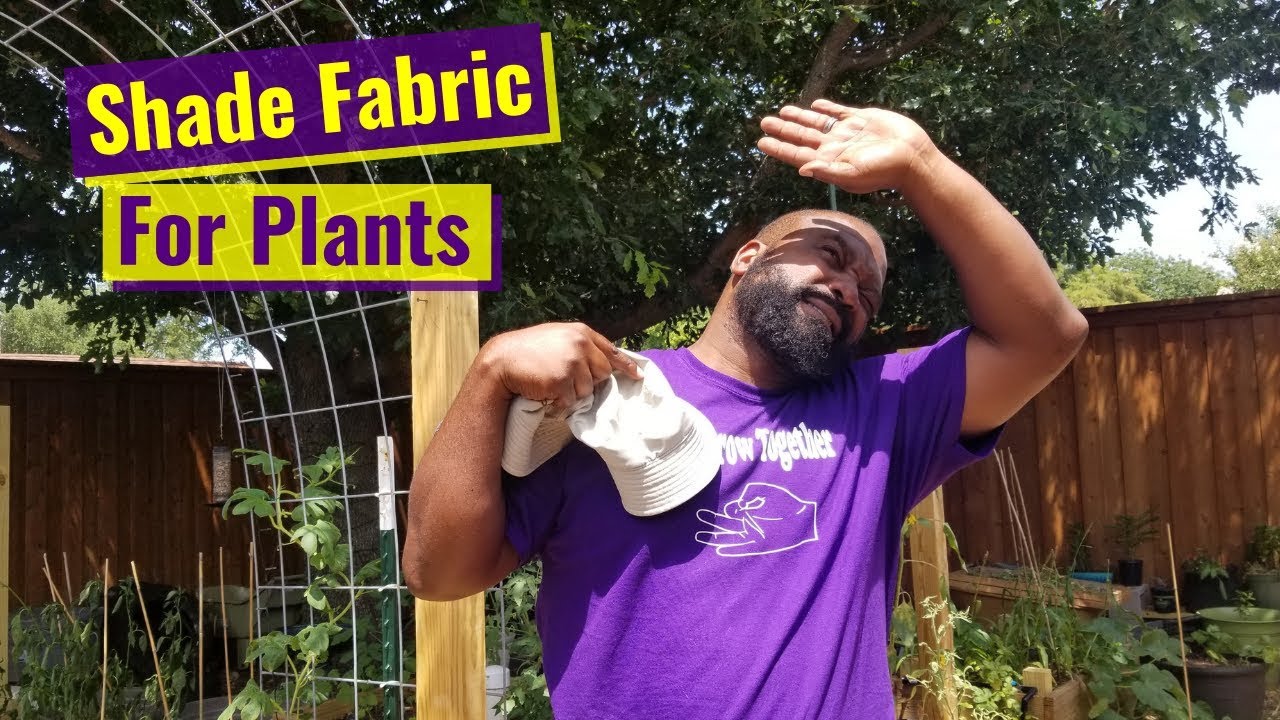Shade Fabric For Plants 