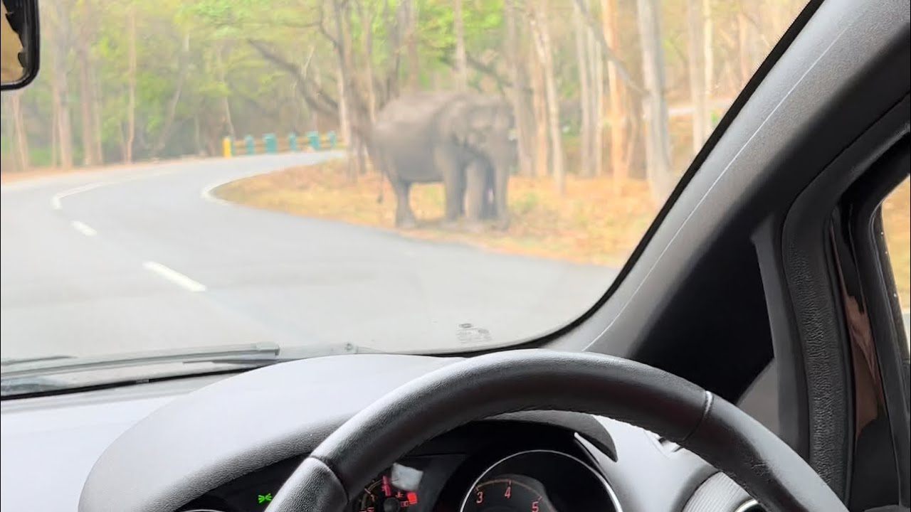 Premium fuel testing! Indian oil XP95 more fuel economy? shorts car