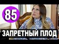 ЗАПРЕТНЫЙ ПЛОД 85 СЕРИЯ РУССКАЯ ОЗВУЧКА. Анонс и дата выхода