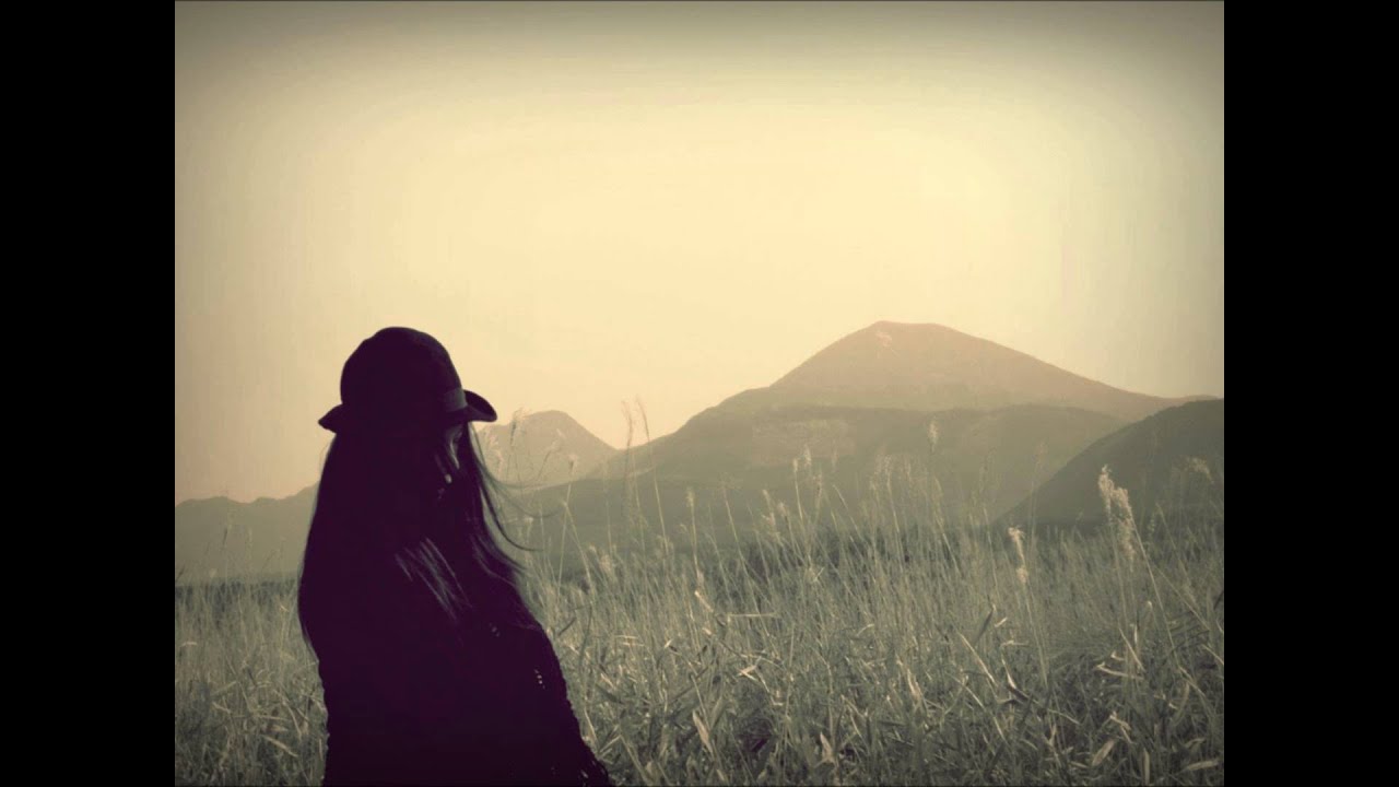 รังนกบนปลายไม้