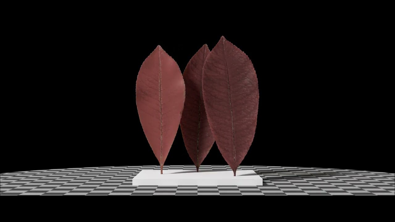 Purple Chokeberry (Photinia Floribunda) leaves. SideFX Houdini, Karma XPU, MaterialX