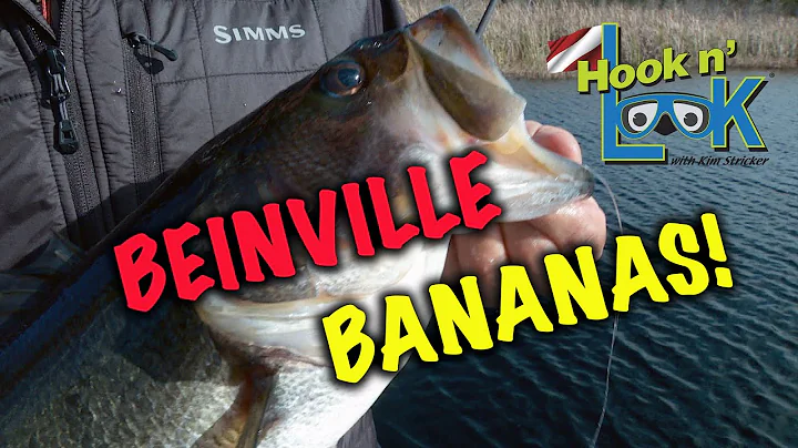 "Bienville Bananas" - FULL EPISODE
