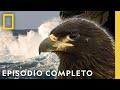 Islas Extremas | Viajes Salvajes | Nat Geo en Español