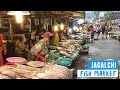 Fresh Fish Market in Busan, South Korea