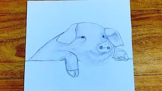 How to draw a pig very easy for beginners pig sketch draw session