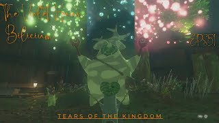 Hestu Needs Korok Seeds! in Tears of the Kingdom EPS-51