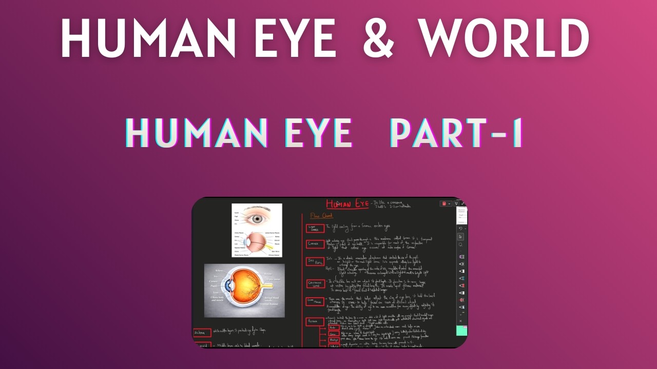 Human Eye Under 6Minutes