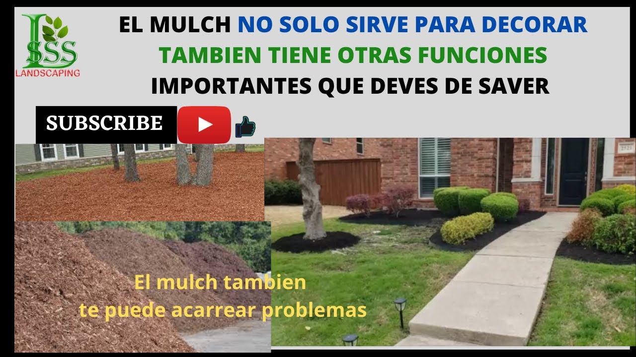 EL MULCH NO SOLO SIRVE PARA DECORAR TAMBIEN TIENE OTRAS FUNCIONES MUY