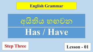 Have,Has | Learn English grammar in Sinhala | non-action verb |