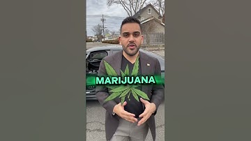 POLICE CAN NOT SEARCH YOUR CAR BECAUSE OF THE ODOR OF MARIJUANA!? #shorts