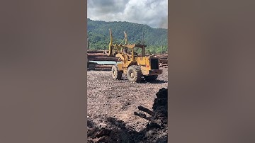 Loader unloading logs #constructionequipment #heavy #whellloader#unloading#heavyequipment