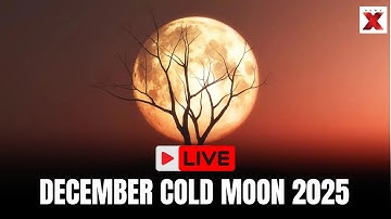 December Full Moon 2025 LIVE | Final Supermoon of the Year | Cold Supermoon LIVE Visuals
