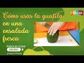 Guatila fresca: Un toque exotico en ensaladas - HogarTv producido por Juan Gonzalo Angel Restrepo