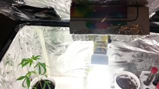 Fish tank Grow system