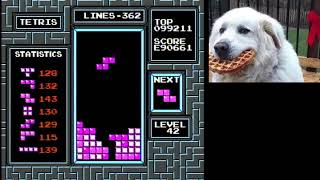 my first 9 million game (PB) @Sidnev