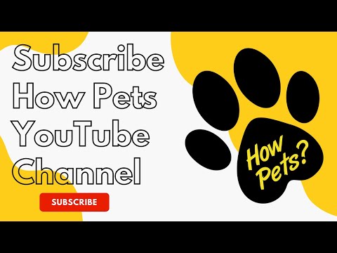 HowPets Animal YouTube Channel - Pets YouTube Channel