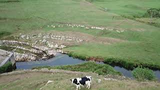 EL BOLAO 4K CANTABRIA