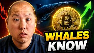 BITCOIN BOTTOM IS IN! Whales Are Quietly LOADING UP While Retail Panics