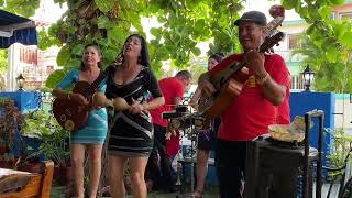 Chan Chan Cuba Varadero La Bodeguita del Medio