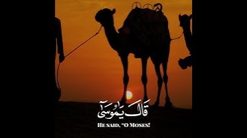 ما تيسر من سورة القصص بصوت الشيخ رعد محمد الكردي #سورة_القصص #رعد_الكردي