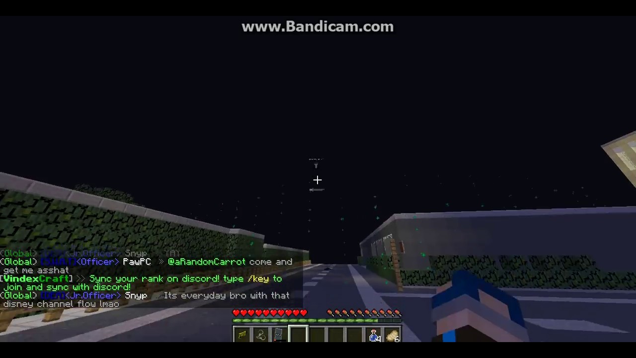 aRandomCarrot Hacking - VindexCraft