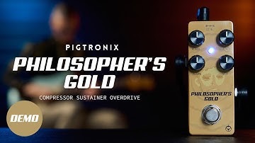 Pigtronix Philosopher