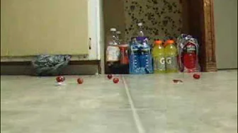 Grape walkover