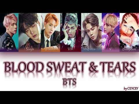 BTS (방탄소년단) - '피 땀 눈물 (Blood Sweat & Tears)' [HAN|ROM|TÜRKÇE ALTYAZILI]