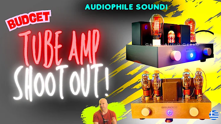 HUH? Spend LESS $$$ to get Audiophile Sound!   Brunoco Amp